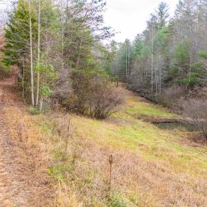 Photo #35 of Waughs Ferry Xing, Monroe, VA 77.3 acres