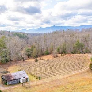 Photo #1 of Waughs Ferry Xing, Monroe, VA 77.3 acres