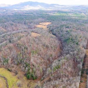 Photo #52 of Waughs Ferry Xing, Monroe, VA 77.3 acres