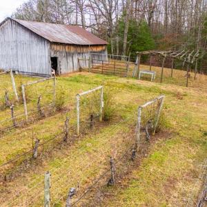Photo #33 of Waughs Ferry Xing, Monroe, VA 77.3 acres