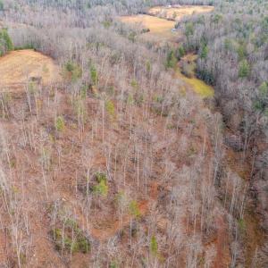 Photo #27 of Waughs Ferry Xing, Monroe, VA 77.3 acres