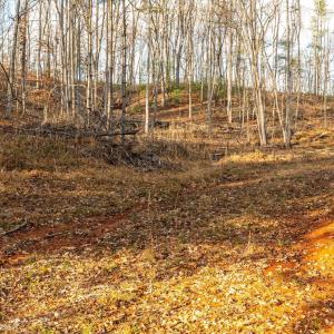 Photo #12 of Waughs Ferry Xing, Monroe, VA 77.3 acres