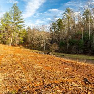 Photo #15 of Waughs Ferry Xing, Monroe, VA 77.3 acres