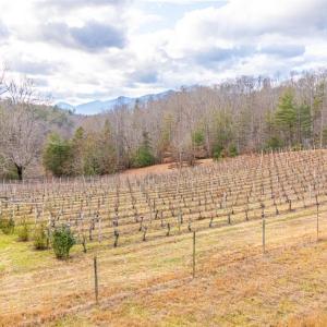 Photo #32 of Waughs Ferry Xing, Monroe, VA 77.3 acres