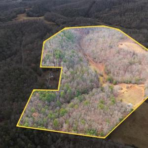 Photo #5 of Waughs Ferry Xing, Monroe, VA 77.3 acres