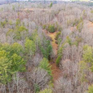 Photo #16 of Waughs Ferry Xing, Monroe, VA 77.3 acres