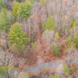 Photo #30 of Waughs Ferry Xing, Monroe, VA 77.3 acres