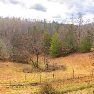 Photo #47 of Waughs Ferry Xing, Monroe, VA 77.3 acres