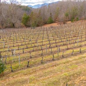 Photo #45 of Waughs Ferry Xing, Monroe, VA 77.3 acres