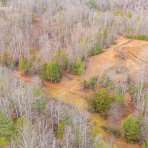 Photo #17 of Waughs Ferry Xing, Monroe, VA 77.3 acres