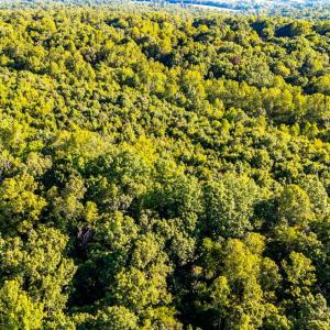 Photo #19 of 134 Katies Dr., Madison Heights, VA 20.8 acres