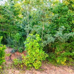 Photo #24 of 134 Katies Dr., Madison Heights, VA 20.8 acres