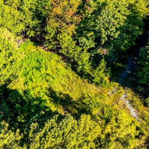 Photo #23 of 134 Katies Dr., Madison Heights, VA 20.8 acres