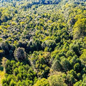 Photo #28 of 134 Katies Dr., Madison Heights, VA 20.8 acres