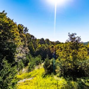 Photo #26 of 134 Katies Dr., Madison Heights, VA 20.8 acres