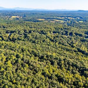 Photo #17 of 134 Katies Dr., Madison Heights, VA 20.8 acres