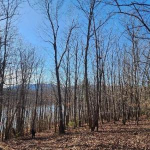 Photo #6 of Robin Ridge Court, Pittsville, VA 1.6 acres