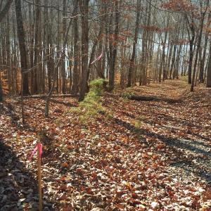 Photo #17 of Robin Ridge Court, Pittsville, VA 1.6 acres