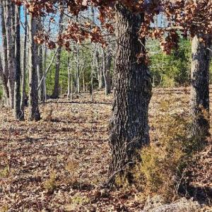 Photo #13 of Robin Ridge Court, Pittsville, VA 1.6 acres