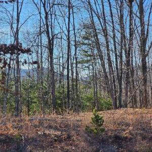 Photo #4 of Robin Ridge Court, Pittsville, VA 1.6 acres