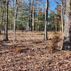 Photo #9 of Robin Ridge Court, Pittsville, VA 1.6 acres