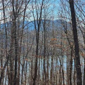 Photo #1 of Robin Ridge Court, Pittsville, VA 1.6 acres