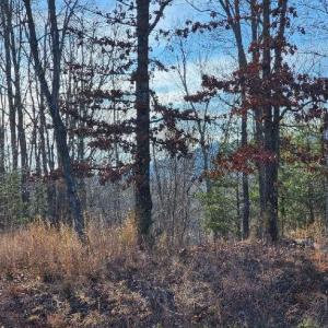 Photo #11 of Robin Ridge Court, Pittsville, VA 1.6 acres