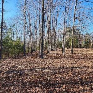 Photo #5 of Robin Ridge Court, Pittsville, VA 1.6 acres