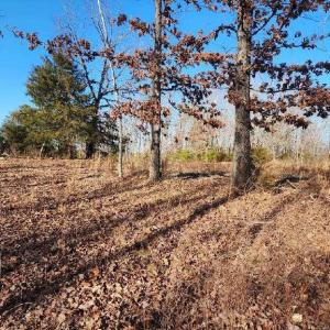 Photo #3 of Robin Ridge Court, Pittsville, VA 1.6 acres