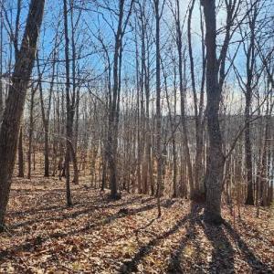 Photo #8 of Robin Ridge Court, Pittsville, VA 1.6 acres