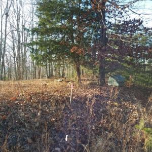 Photo #2 of Robin Ridge Court, Pittsville, VA 1.6 acres