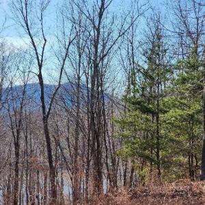 Photo #10 of Robin Ridge Court, Pittsville, VA 1.6 acres