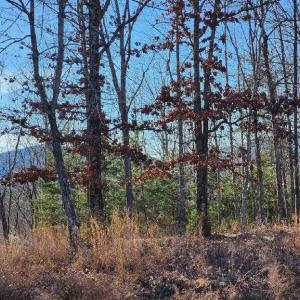 Photo #12 of Robin Ridge Court, Pittsville, VA 1.6 acres