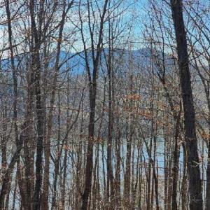 Photo #7 of Robin Ridge Court, Pittsville, VA 1.6 acres