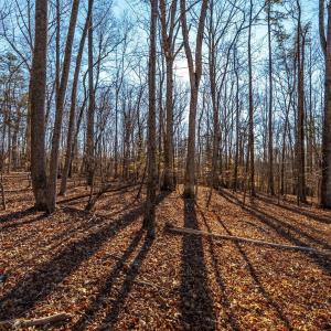 Photo #56 of 8 Cottage Charm, Goode, VA 8.7 acres