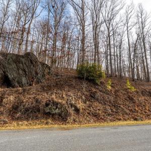 Photo #6 of 8 Cottage Charm, Goode, VA 8.7 acres