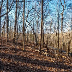Photo #57 of 8 Cottage Charm, Goode, VA 8.7 acres