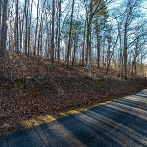 Photo #46 of 8 Cottage Charm, Goode, VA 8.7 acres