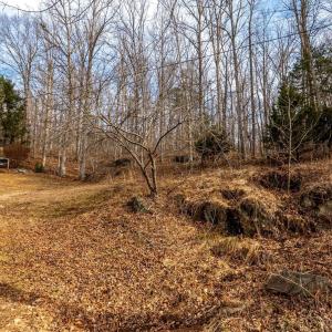 Photo #8 of 8 Cottage Charm, Goode, VA 8.7 acres