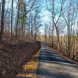 Photo #47 of 8 Cottage Charm, Goode, VA 8.7 acres