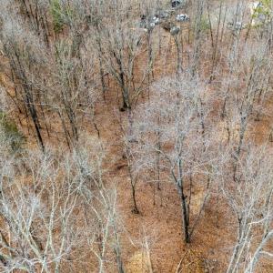 Photo #38 of 8 Cottage Charm, Goode, VA 8.7 acres