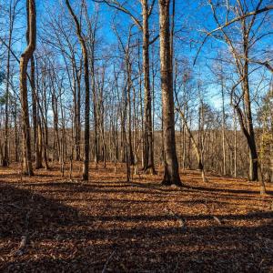 Photo #51 of 8 Cottage Charm, Goode, VA 8.7 acres