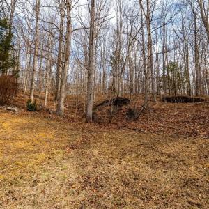 Photo #9 of 8 Cottage Charm, Goode, VA 8.7 acres