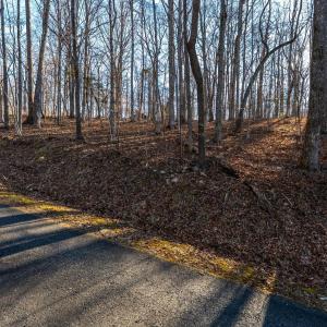 Photo #44 of 8 Cottage Charm, Goode, VA 8.7 acres