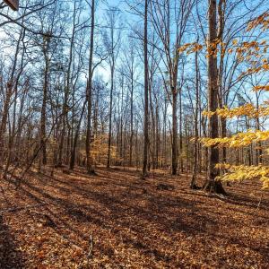 Photo #55 of 8 Cottage Charm, Goode, VA 8.7 acres