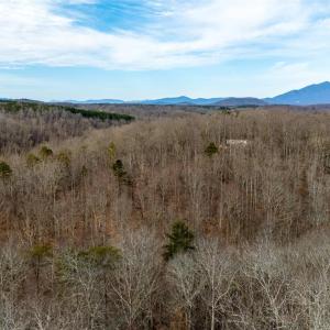 Photo #34 of 8 Cottage Charm, Goode, VA 8.7 acres