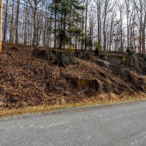 Photo #5 of 8 Cottage Charm, Goode, VA 8.7 acres