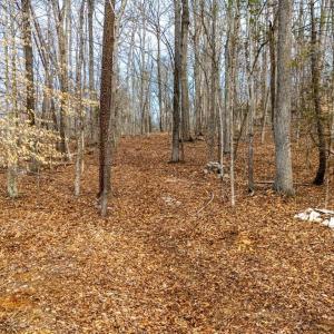 Photo #40 of 8 Cottage Charm, Goode, VA 8.7 acres