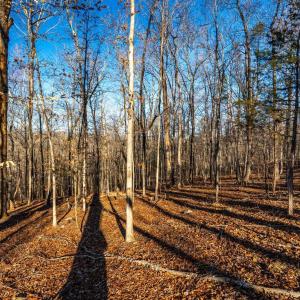 Photo #49 of 8 Cottage Charm, Goode, VA 8.7 acres