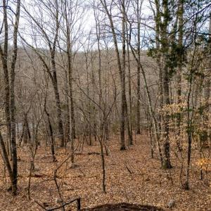 Photo #41 of 8 Cottage Charm, Goode, VA 8.7 acres